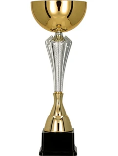 Zlatý a strieborný kovový pohár