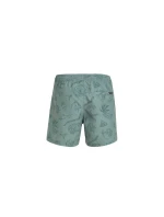 Plavecké šortky O'Neill Mix&Match Cali Print 15'' M 92800613869