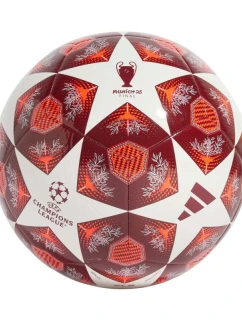Adidas UCL Club 24/25 Knockout Stages Futbal JH1284