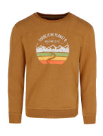 Volcano Regular Silhouette Sweatshirt B-Andy Junior B01476-S21 Honey Melange