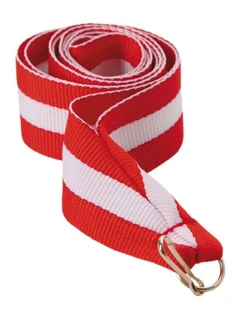 Wstążka 22 mm - model 21829879