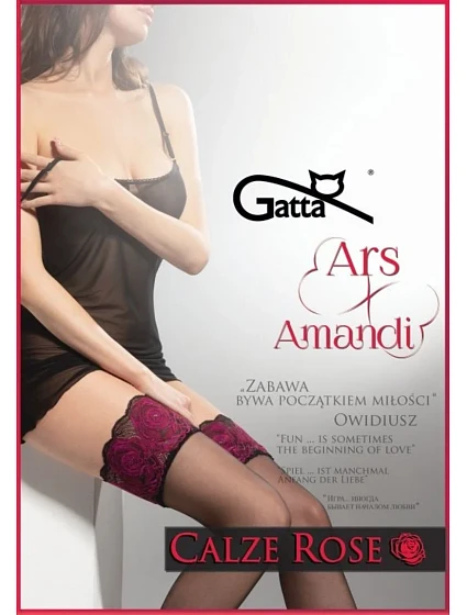Samodržící dámské punčochy model 16159750 ROSE 20 DEN - Gatta Samodržící dámské punčochy model 16159750 ROSE 20 DEN - Gatta