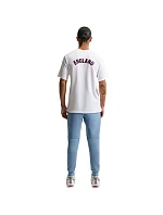 Pánské tričko  DriFit white 100 pánské model 22151165 - NIKE