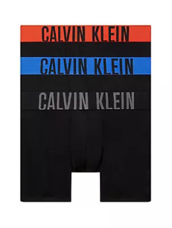 Pánské spodní prádlo BOXER BRIEF 3PK 000NB3612AMDJ - Calvin Klein