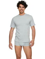 Pánské tričko  grey  model 19431716 - Henderson