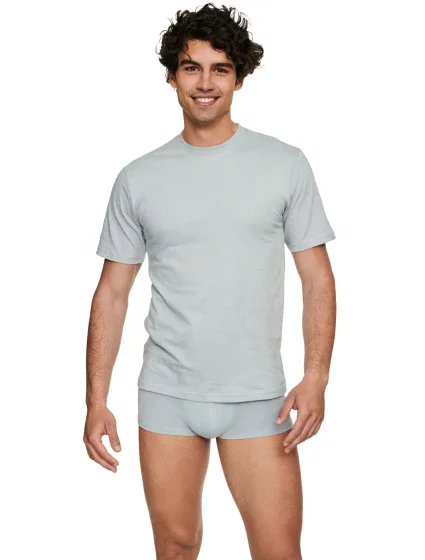 Pánské tričko  grey  model 19431716 - Henderson