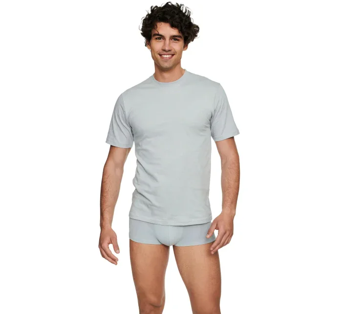 Pánské tričko  grey  model 19431716 - Henderson