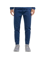 Pánske džínsové nohavice 4F FNK M0936 4FWAW25TFTRM0936 32S