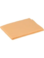 A  21 CM model 21858623