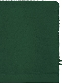Washcloth Žínka model 22527467 green - The One Towelling