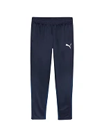 Team Goal Training M kalhoty model 21062315 06 - Puma