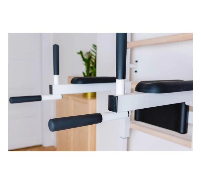 GYMNASTICKÝ REBRÍK S NASTAVITEĽNOU TYČOU A ZÁBRADLÍM BENCHK 732W