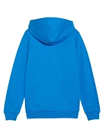 Puma teamGoal Casuals Hoodie Jr 658596 02 Puma teamGoal Casuals Hoodie Jr 658596 02