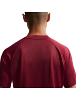 DriFit Park VIII pánské tričko bordó  pánské model 21910905 - NIKE