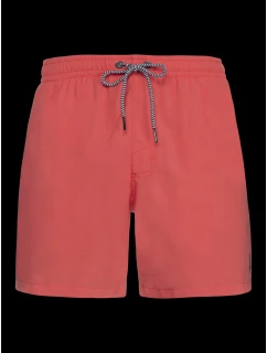 Protestné pánske plážové šortky DAVEY