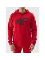 Mikina M model 20790687 pánské - 4F