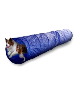 AGILITY TUNEL PRE PSY 3M