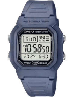 Pánské hodinky model 21806105 + krabice - CASIO