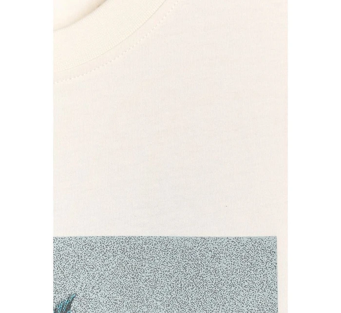 Pánske tričko s potlačou 4F 4FRSS25TTSHM2846-12S