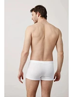 boxerky model 22085383 S2XL - Ysabel Mora