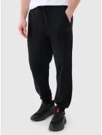 Pánské tepláky 4F