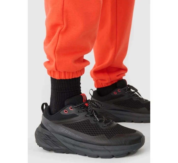 Pánské tepláky typu jogger model 21433039 - 4F