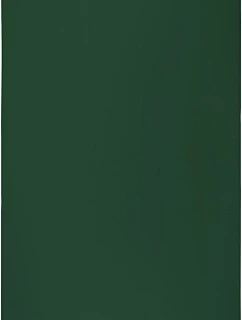 Classic 100 Plážová osuška "Classic" model 22526908 green - The One Towelling