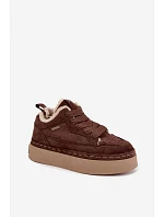 Šněrovací zimní boty na platformě Big Star model 22391274 hnědé - Big Star Shoes Šněrovací zimní boty na platformě Big Star model 22391274 hnědé - Big Star Shoes