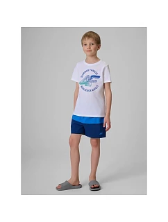 Chlapecké plážové šortky boardshorts model 22215422 - 4F