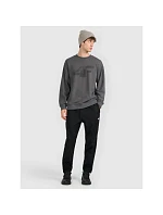 Pánská mikina bez kapuce model 22117436 - 4F