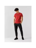 Pánské tričko M model 21424822 - 4F