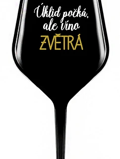 ÚKLID ALE VÍNO  černá nerozbitná sklenice na víno 470 ml model 22168274 - Giftela