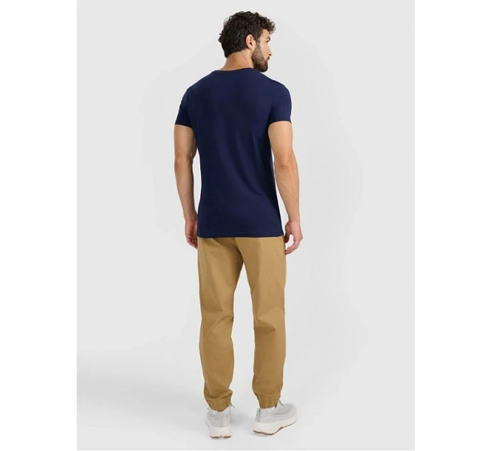 Pánské tepláky typu jogger model 22073485 - 4F