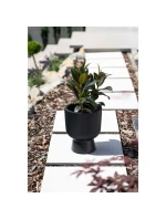 MILLY KVETINOVÝ POND, priemer 24 cm BIELA