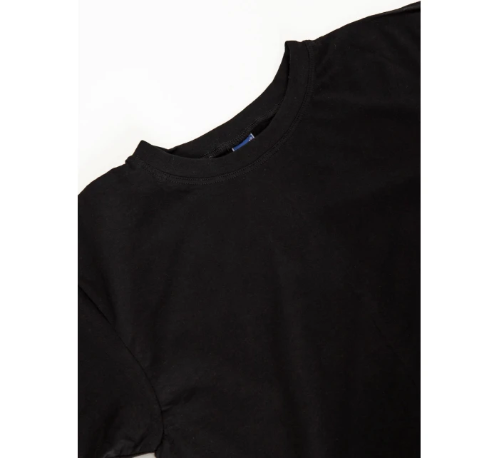 Tričko BR TS model 21219676 černá - FPrice