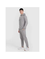 Spodnie męskie model 21460734 - 4F Spodnie męskie model 21460734 - 4F