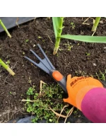 ZÁHRADNÉ KULTIVAČNÉ PAZÚRY ZÁHRADNÉ KULTIVAČNÉ PAZÚRY