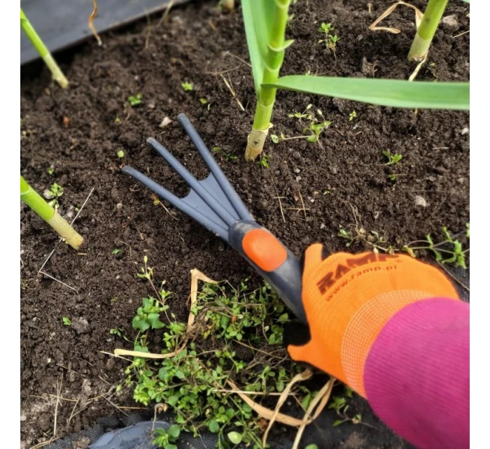 ZÁHRADNÉ KULTIVAČNÉ PAZÚRY ZÁHRADNÉ KULTIVAČNÉ PAZÚRY