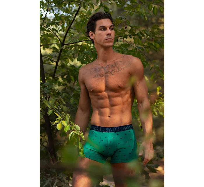 Pánske šortky M-1056SZG 2-pack