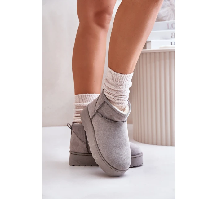 Dámské Sněhule Na Platformě Zateplené Kožíškem Šedé model 21672076 - Boto