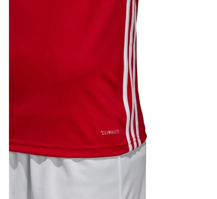 Pánske futbalové tričko Regista 18 M CE1713 - Adidas
