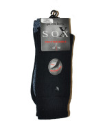 Pánské ponožky model 15859019 Premium Sox Frotte - WiK