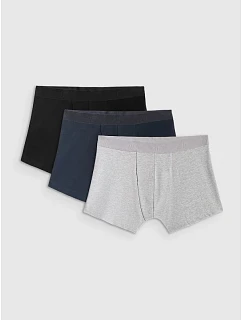 Pánské boxerky (3 balení) model 22132352 - 4F