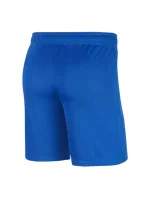 Pánské šortky Madrid Stadium M  model 18393766 - NIKE