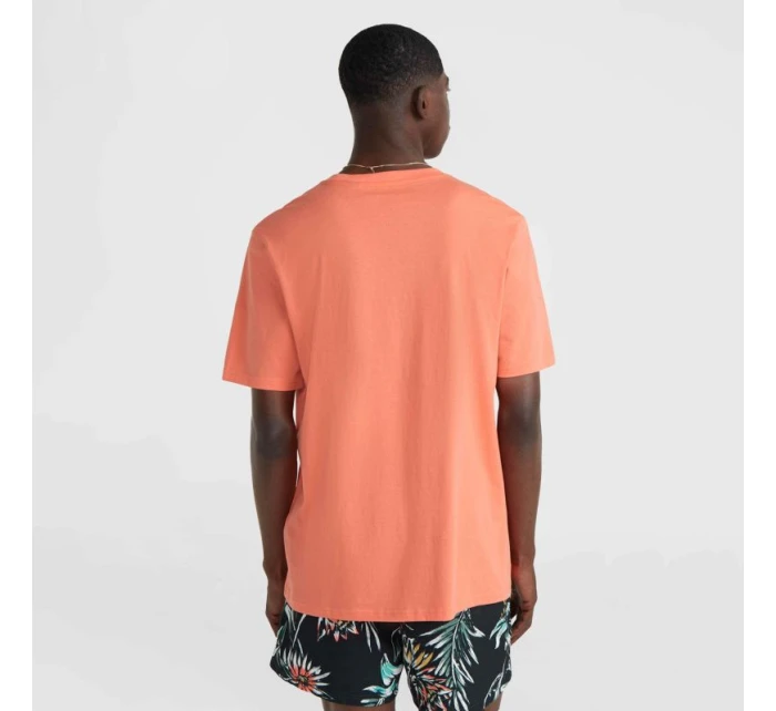 O'Neill Mix & Match Palm TShirt M model 20119157 - ONeill O'Neill Mix & Match Palm TShirt M model 20119157 - ONeill