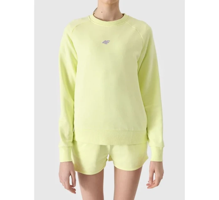 Mikina Jr model 19912489 - 4F