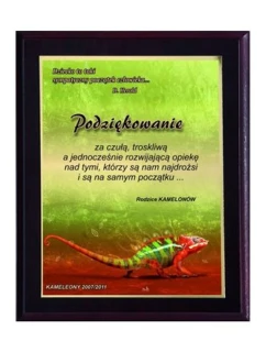 Dyplom z tworzywa sztucznego z colour model 21829310