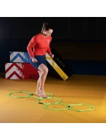 síť model 20685542 - HMS