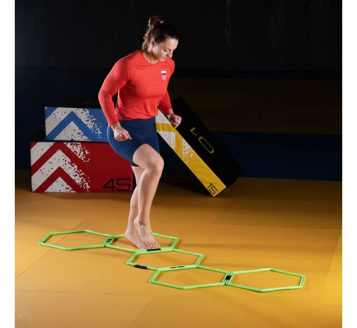 síť model 20685542 - HMS