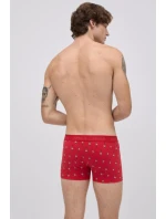 VÁNOČNÍ BOXERKY model 21482085 - Ysabel Mora